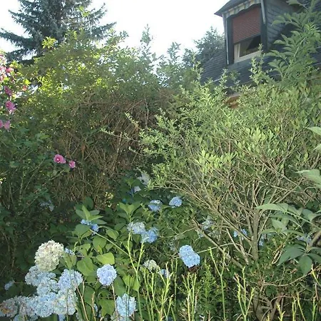 Alojamento de Acomodação e Pequeno-almoço La Demeure Aux Pins 3*