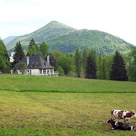 La Demeure Aux Pins Bed and breakfast Lourdes