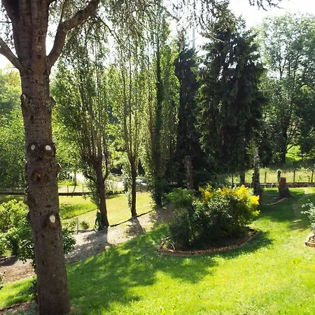 La Demeure Aux Pins 3* 卢德