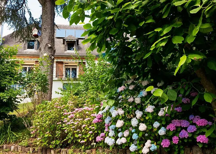 La Demeure Aux Pins 3* ルルド