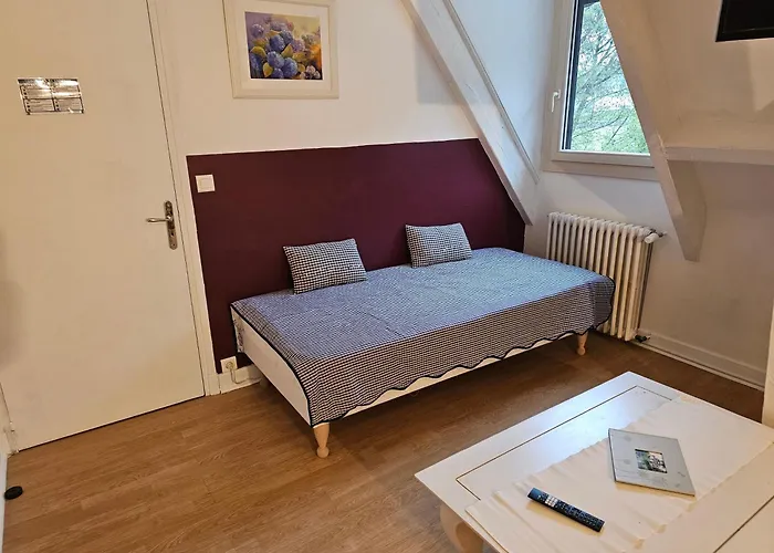 La Demeure Aux Pins ルルド