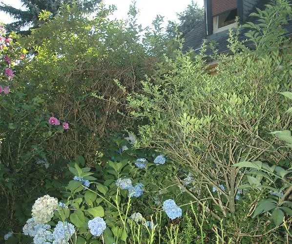 Bed & Breakfast La Demeure Aux Pins 3*