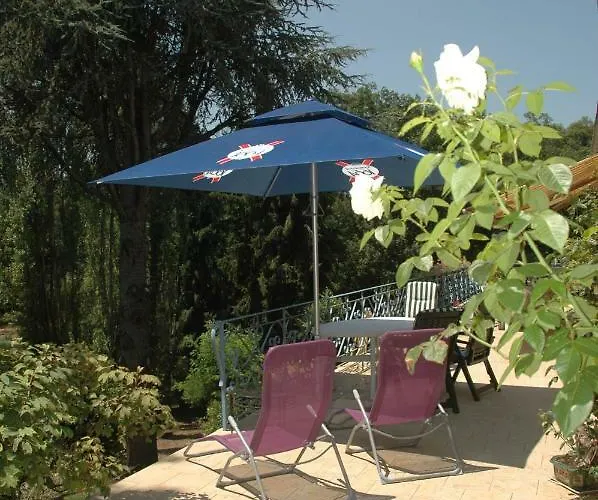 La Demeure Aux Pins 3* Лурд