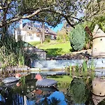 La Demeure Aux Pins