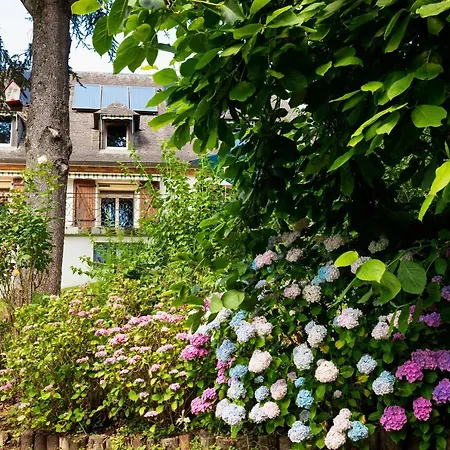 La Demeure Aux Pins 3* לורדה