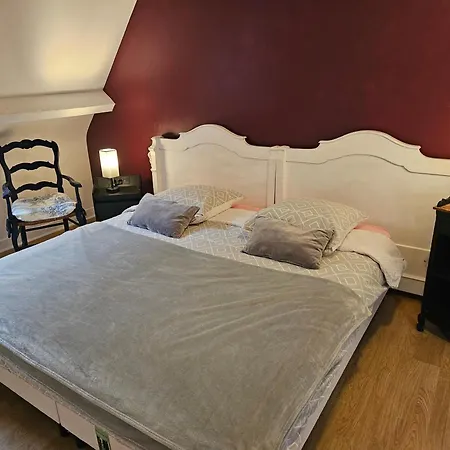 La Demeure Aux Pins 3* לורדה