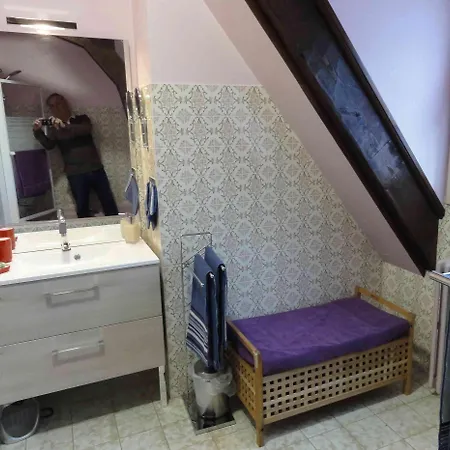 La Demeure Aux Pins לינה וארוחת בוקר לורדה