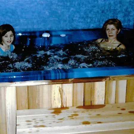 La Demeure Aux Pins לורדה