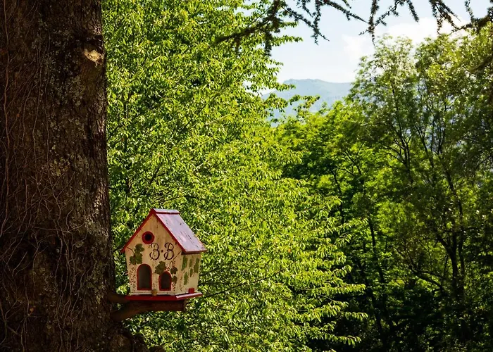 La Demeure Aux Pins 3*