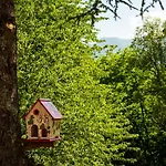 La Demeure Aux Pins 3*