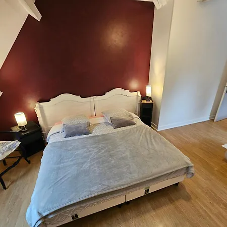 Bed & Breakfast La Demeure Aux Pins Lourdes