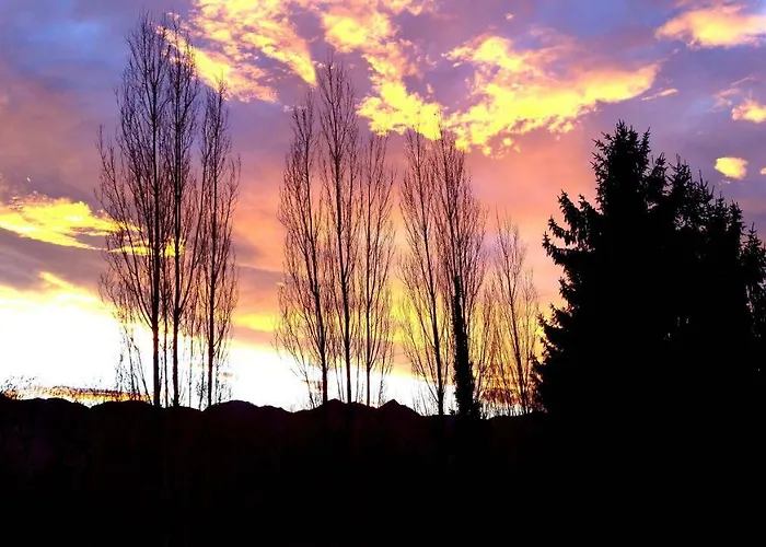 La Demeure Aux Pins Bed & Breakfast Lourdes